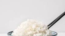 Instant Pot White Rice Instant Pot White Rice
