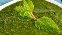 Mint Raita Mint Raita