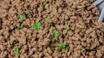 How To Cook Ground Beef How To Cook Ground Beef