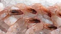 Jasmine Shrimp Special Jasmine Shrimp Special