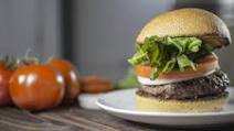 How to cook a burger On the Grill Recipe How to cook a burger On the Grill Recipe