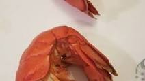 Recipe of Super Quick Homemade Instant Pot Lobster Tails with Butter Sauce Recipe of Super Quick Homemade Instant Pot Lobster Tails with Butter Sauce