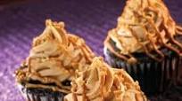 Peanut Butter Topped Jumbo Cupcakes Peanut Butter Topped Jumbo Cupcakes
