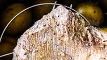 Instant pot tri tip Instant pot tri tip