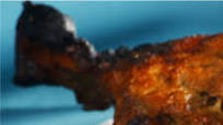 Soy Sauce Roasted Cornish Game Hen (Ga Mai Ro Ti) Soy Sauce Roasted Cornish Game Hen (Ga Mai Ro Ti)