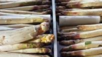 White Asparagus With Cashew Cream Sauce White Asparagus With Cashew Cream Sauce