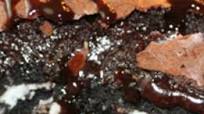 Ultimate Chocolate Chip Cookie Oreo Brownie Bars Ultimate Chocolate Chip Cookie Oreo Brownie Bars