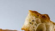 Samin Nosrat's Ligurian-Style Focaccia Samin Nosrat's Ligurian-Style Focaccia