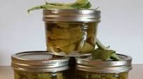 Canning Green Beans Canning Green Beans