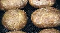 Air Fryer Baked Potato Air Fryer Baked Potato