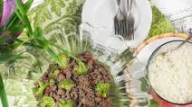 Beef and Broccoli with Jasmine Rice Beef and Broccoli with Jasmine Rice