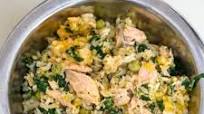 Salmon Dog Food Recipe with Spinach & Pumpkin Salmon Dog Food Recipe with Spinach & Pumpkin