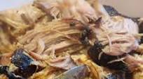 Smoked Pulled Pork Smoked Pulled Pork