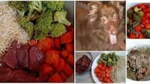 Crock Pot Dog Food Crock Pot Dog Food