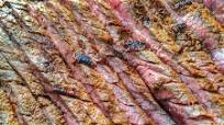How to Cut Meat Against the Grain How to Cut Meat Against the Grain