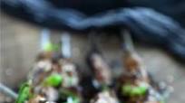 Keto Teriyaki Beef on a Stick - Low Carb Keto Teriyaki Beef on a Stick - Low Carb