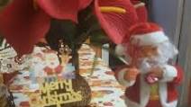 Christmas special eggless plum cake Christmas special eggless plum cake