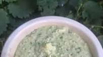 Coriander Hummus Coriander Hummus