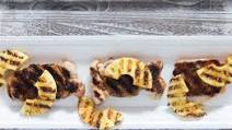 Teriyaki Pork Chops with Grilled Pineapple Teriyaki Pork Chops with Grilled Pineapple