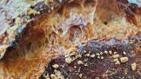 No Knead, Easy, Whole Wheat Rustic Bread No Knead, Easy, Whole Wheat Rustic Bread