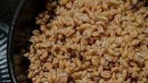 Basic Whole Grain Preparation Basic Whole Grain Preparation