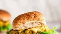 The Best Salmon Burgers Recipe The Best Salmon Burgers Recipe
