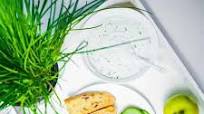 Tzatziki Sauce Tzatziki Sauce