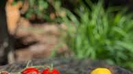 Fun Snacks For Kids | Top Allergy-Free Salsa Fun Snacks For Kids | Top Allergy-Free Salsa