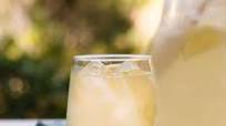 Perfect Lemonade Perfect Lemonade