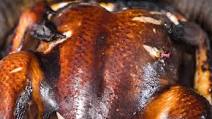 Electric Smoker Turkey Electric Smoker Turkey