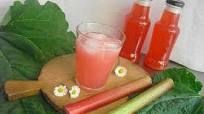 Rhubarb Juice from Steam Extractor Rhubarb Juice from Steam Extractor