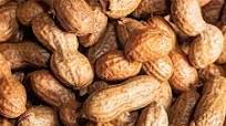 Boiled Peanuts Boiled Peanuts