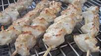 Chicken Souvlaki With Tzatziki Sauce Chicken Souvlaki With Tzatziki Sauce