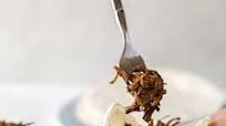 Slow Cooker Beef Barbacoa Tacos Slow Cooker Beef Barbacoa Tacos