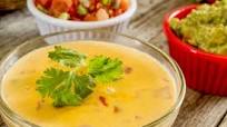 Skinny Chicken Queso Skinny Chicken Queso