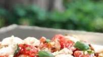 Summer Salad--Caprese Panzanella w/ Red Wine Vinaigrette Summer Salad--Caprese Panzanella w/ Red Wine Vinaigrette