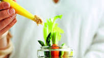 Crudites jars with Moroccan hummus Crudites jars with Moroccan hummus