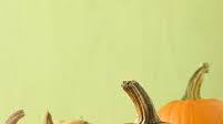 Easy Pumpkin Puree Easy Pumpkin Puree