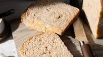 Whole-Wheat Sourdough Sandwich Bread Whole-Wheat Sourdough Sandwich Bread