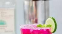 Red Dragon Fruit Margarita Red Dragon Fruit Margarita