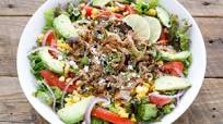 Carnitas Salad Bowl Carnitas Salad Bowl
