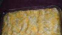 Jalapeno Cream Cheese Chicken Enchiladas Jalapeno Cream Cheese Chicken Enchiladas