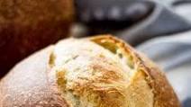 Sourdough Bread: A Beginner's Guide Sourdough Bread: A Beginner's Guide