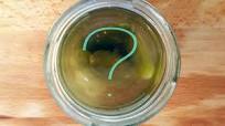Tips-6 Ways To Use Leftover Pickle Juice Tips-6 Ways To Use Leftover Pickle Juice