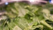 Easy Instant Pot Turnip Greens & Turnips Recipe Easy Instant Pot Turnip Greens & Turnips Recipe