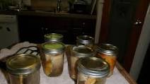 Canning Sockeye Salmon How to Avoid Zombie Acopoly Canning Sockeye Salmon How to Avoid Zombie Acopoly