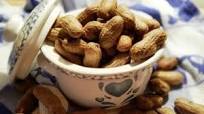 Pressure Cooker Boiled Peanuts Southern Style Pressure Cooker Boiled Peanuts Southern Style
