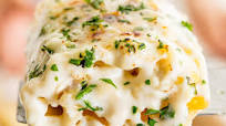 Chicken Alfredo Roll-Ups Chicken Alfredo Roll-Ups