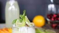 Virgin Margarita Recipe Virgin Margarita Recipe