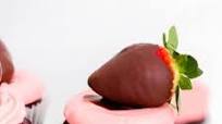 Chocolate Covered Strawberry Cupcakes Recipe Chocolate Covered Strawberry Cupcakes Recipe